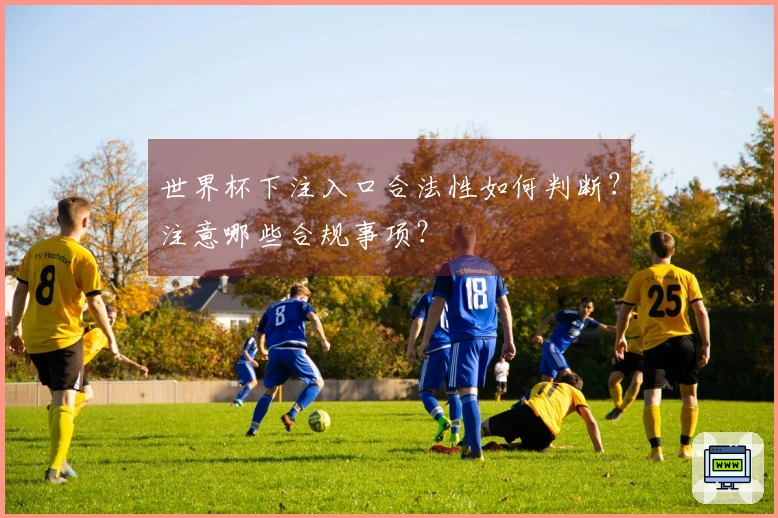 世界杯下注入口合法性如何判断？注意哪些合规事项？