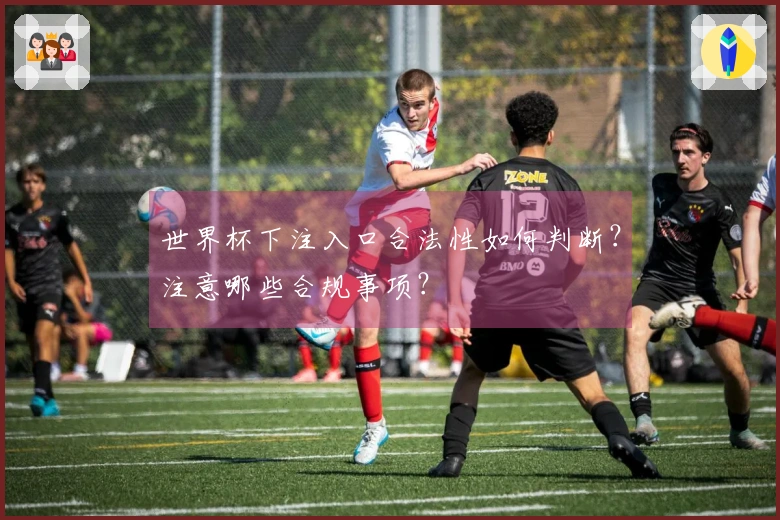 世界杯下注入口合法性如何判断?注意哪些合规事项?