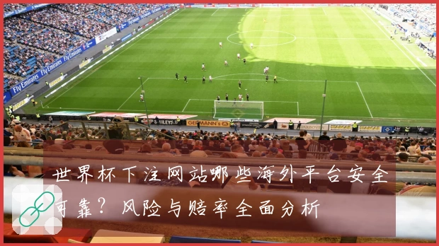世界杯下注网站哪些海外平台安全可靠?风险与赔率全面分析
