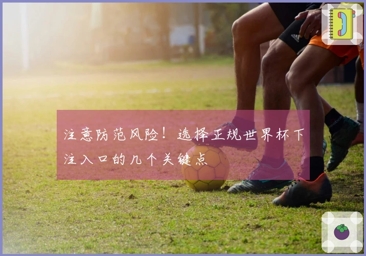 注意防范风险！选择正规世界杯下注入口的几个关键点